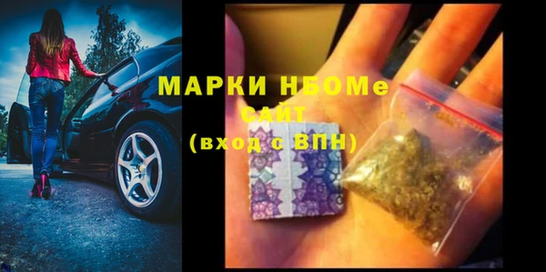 гидра Алексин