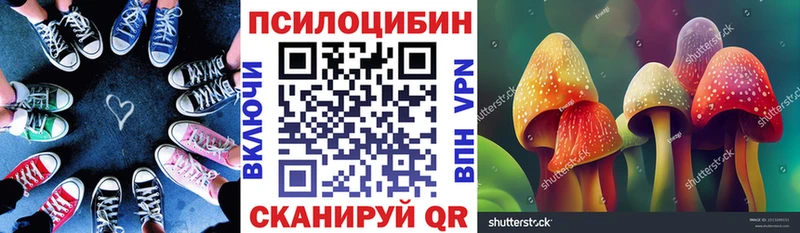 Галлюциногенные грибы MAGIC MUSHROOMS  Купить где  Тайга 